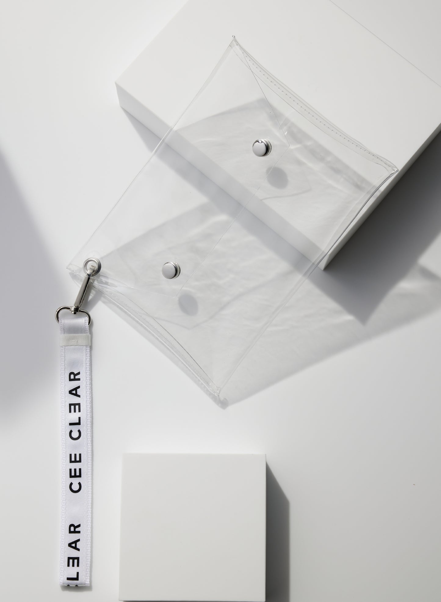 THE CLEAR PURSE